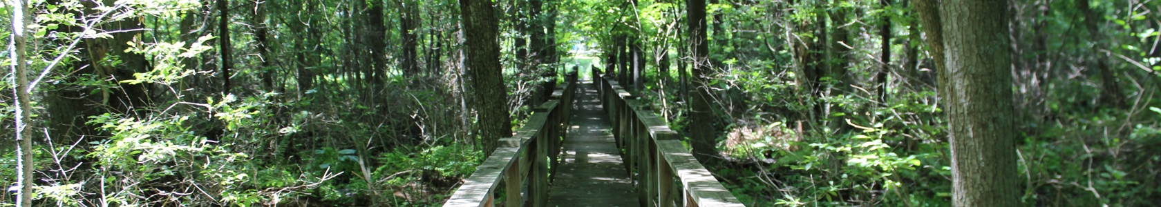MCC Nature Trails bridge