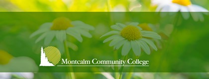 Photo of white daisies in grass with solid green overlay with the words "Montcalm Community College"