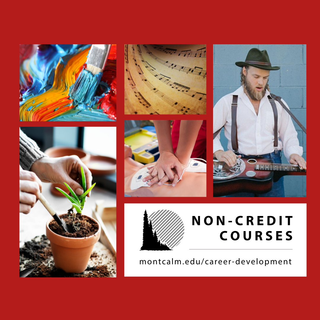 MCC offers a variety of noncredit classes in February Montcalm