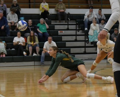 Female volleyball player in green diving to dig the ball during a match with spectators in the background.
