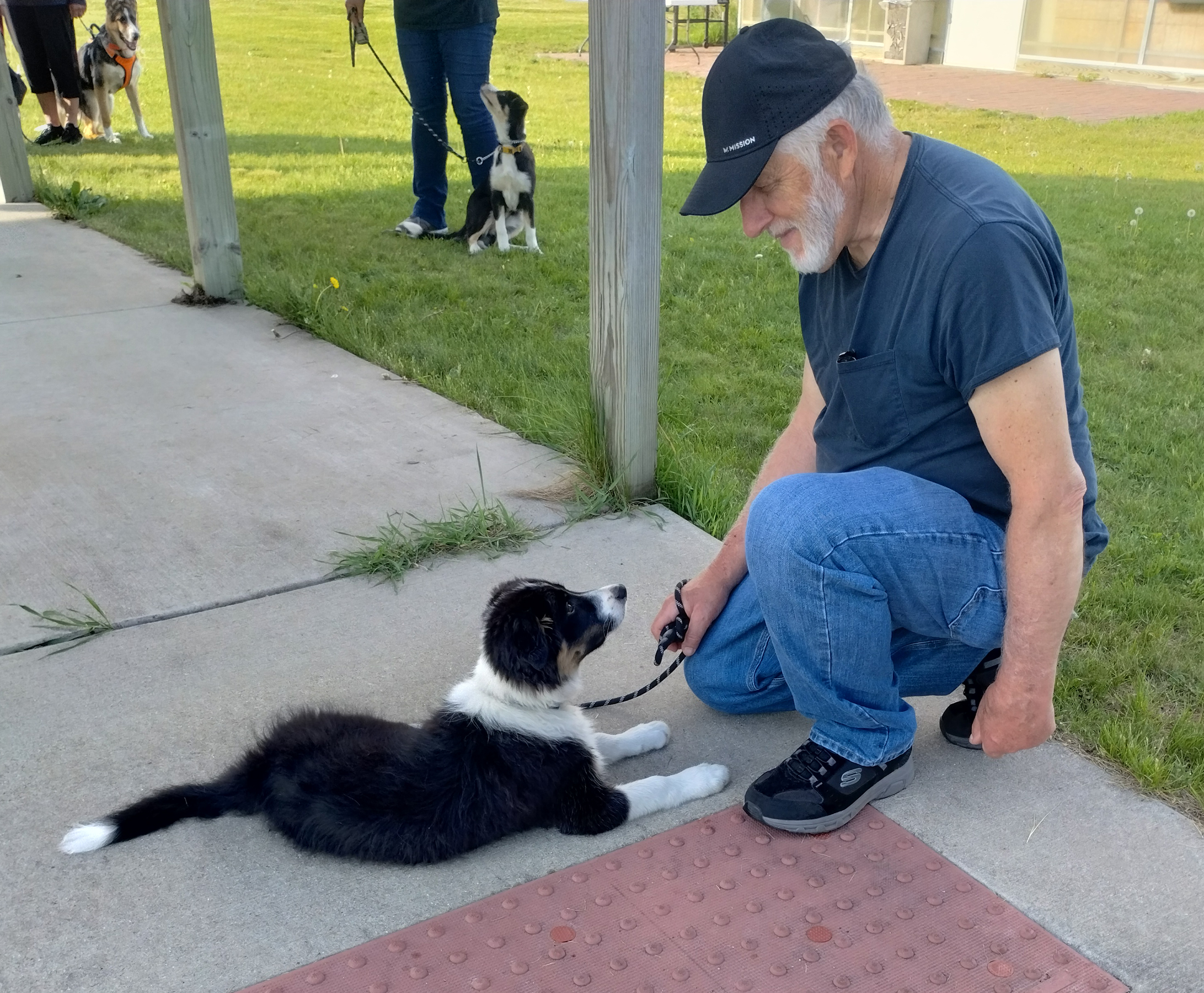 Man kneeling down in front of puppy during one of MCC's Dog Training Workshops. Man is wearing jeans, a navy blue tshirt and a black hat. The puppy is black and white.