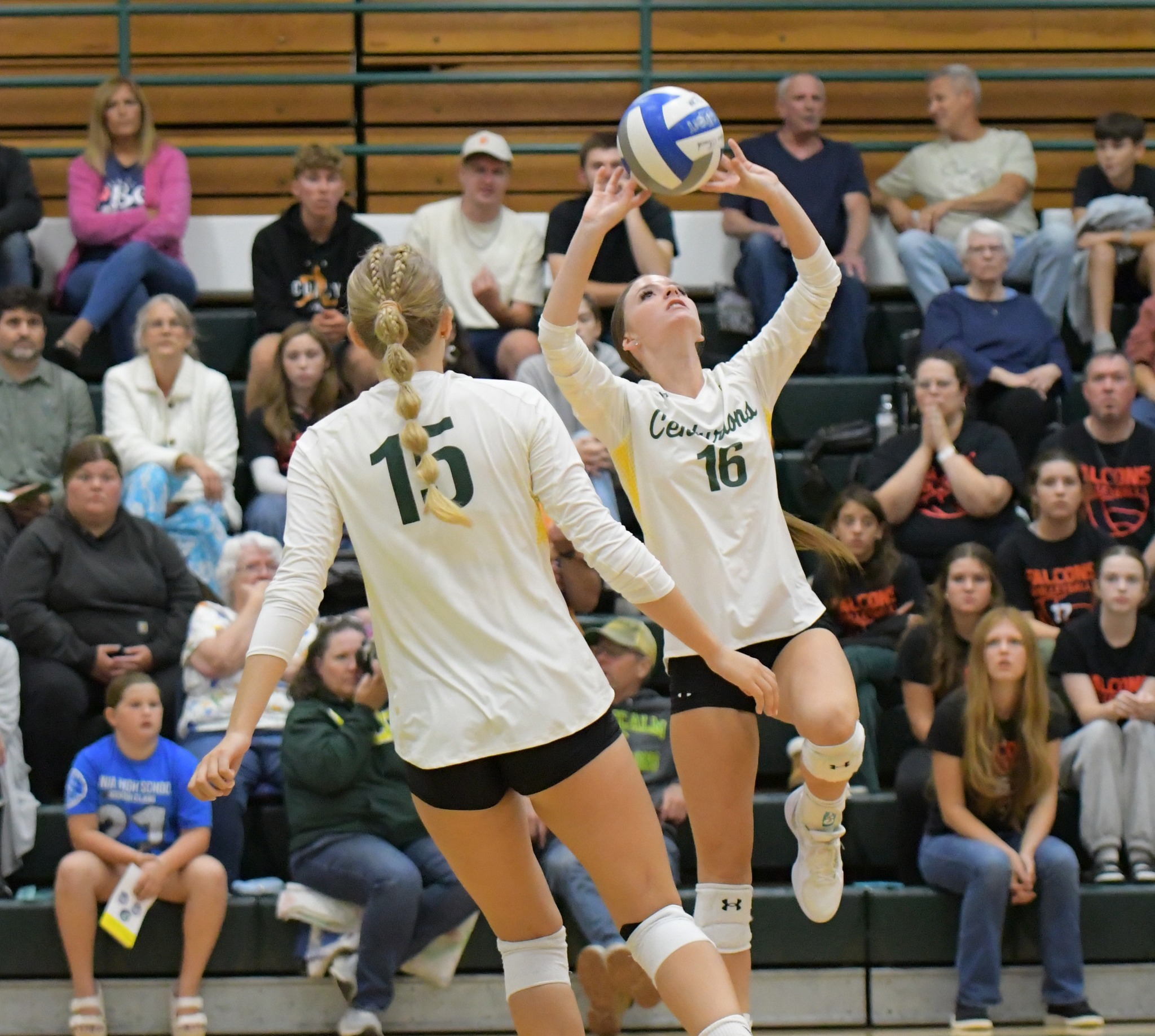 MCC Volleyball player setting the ball on the court.